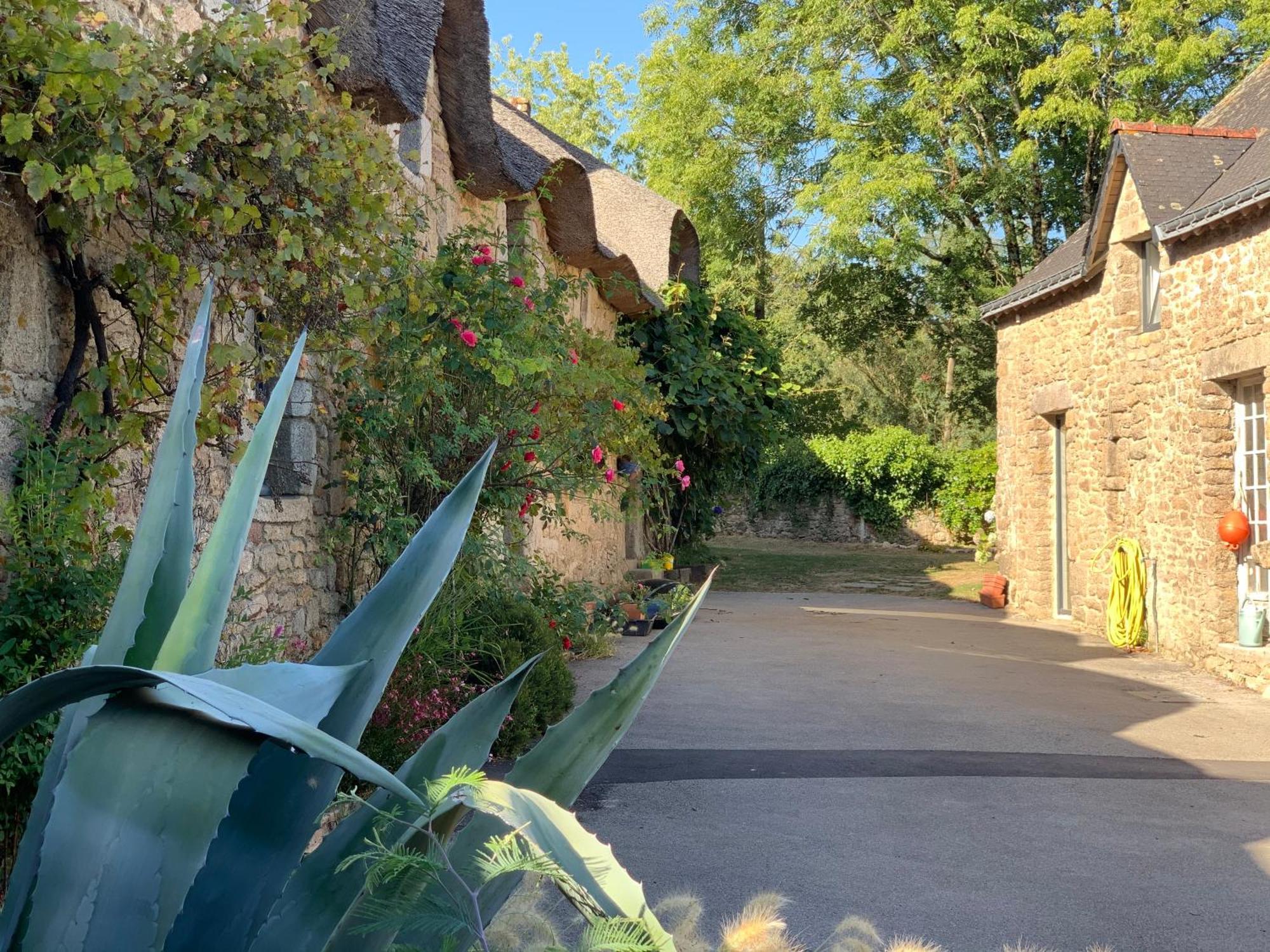 Le Clos Du Palastre, A 10 Mn De Vannes Plescop Buitenkant foto